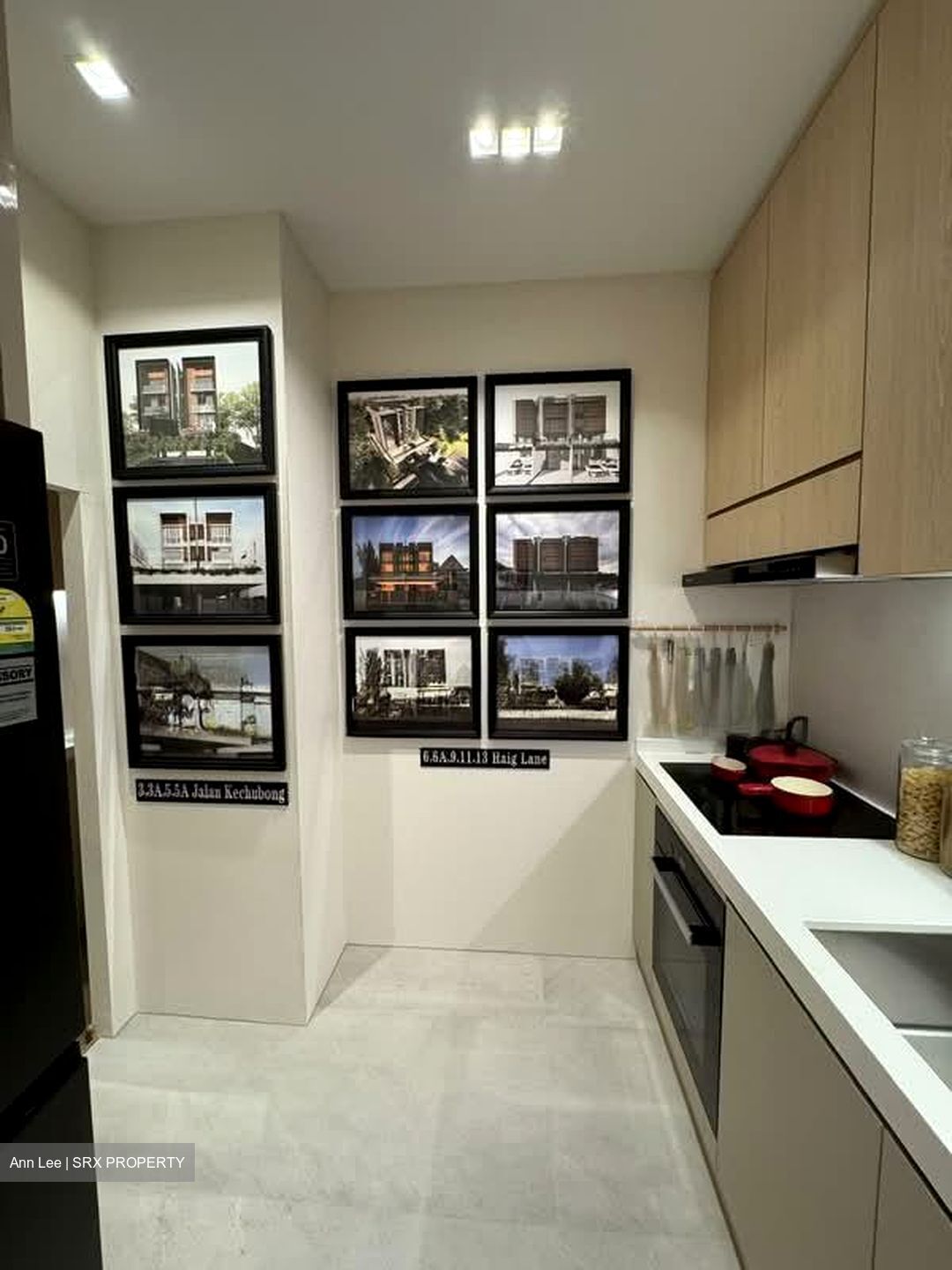 Joo Chiat Terrace (D15), Apartment #551847281